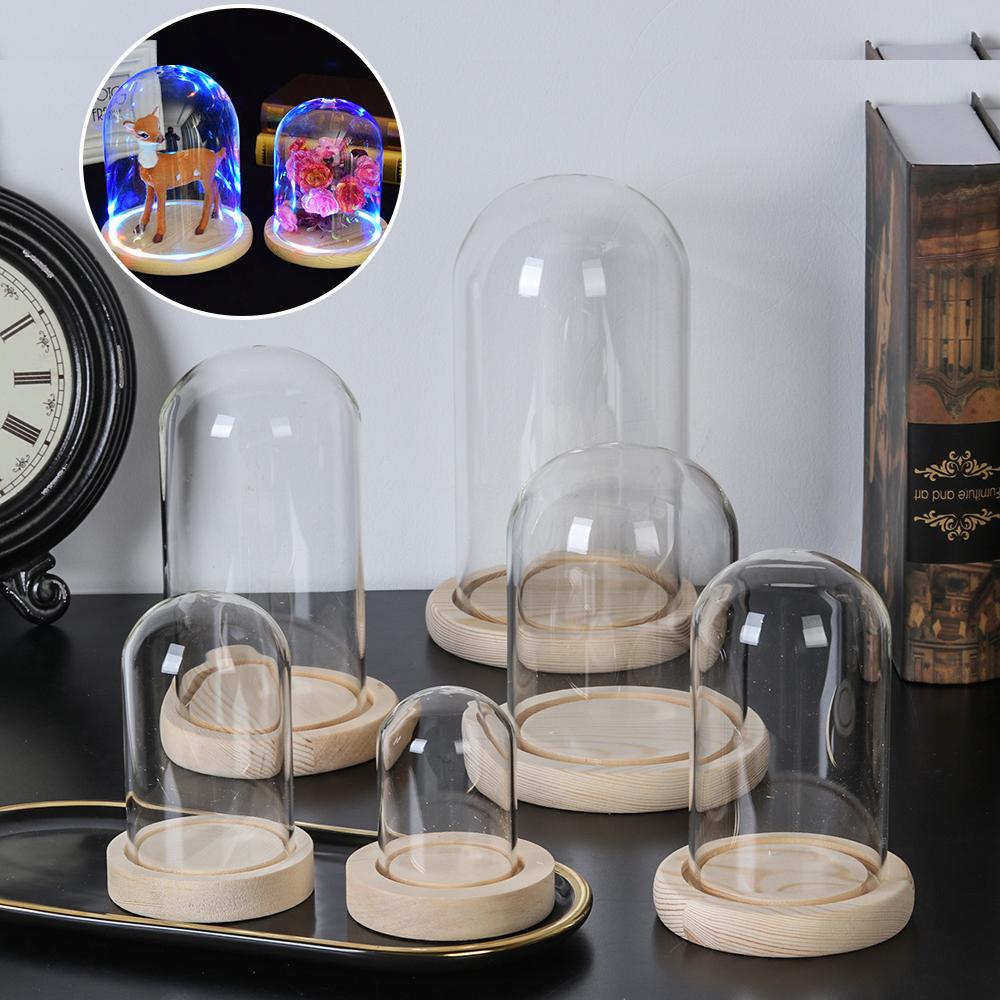 Home Decor Glass - 홈데코 식물 항아리 테라리움 유리 화병