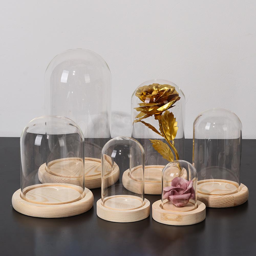 페어리 라이트 홈 데코 테라리움 투명 유리병 유리 화병 - Home Decor Glass 리뷰 및 가격